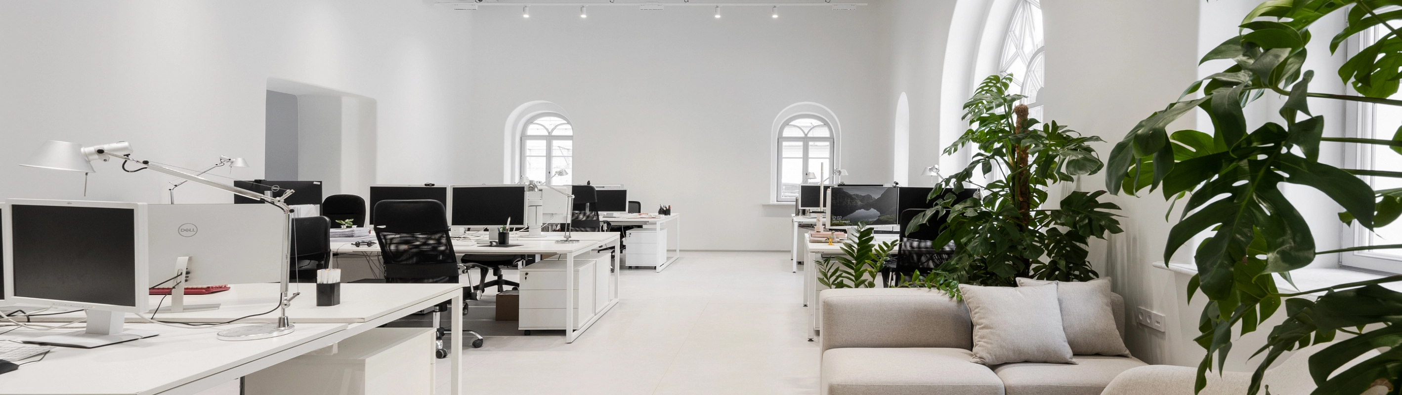 Просторный светлый офис с растениями и рабочими столами у окон