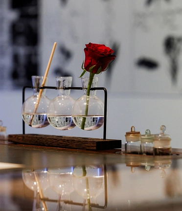 Чем пахнут города, или Ольфакторная урбанистика